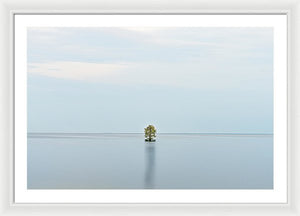 Tranquility - Framed Print