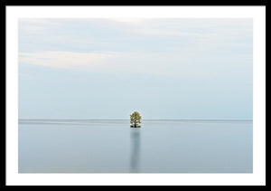 Tranquility - Framed Print