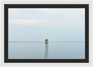 Tranquility - Framed Print