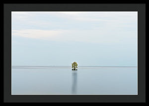 Tranquility - Framed Print