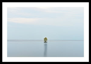 Tranquility - Framed Print
