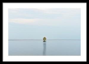 Tranquility - Framed Print