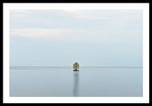Load image into Gallery viewer, Tranquility - Framed Print