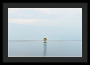 Tranquility - Framed Print