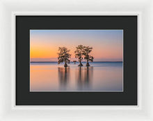 Load image into Gallery viewer, Tree Amigos - Framed Print