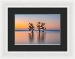 Tree Amigos - Framed Print