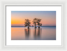 Load image into Gallery viewer, Tree Amigos - Framed Print