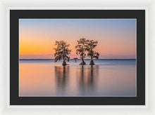 Load image into Gallery viewer, Tree Amigos - Framed Print