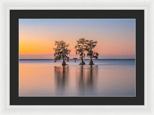 Tree Amigos - Framed Print