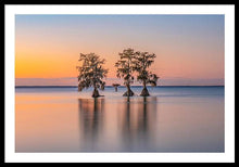 Load image into Gallery viewer, Tree Amigos - Framed Print