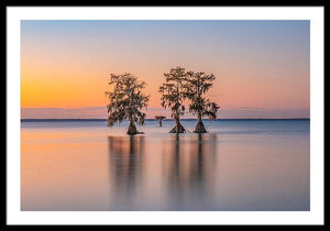 Tree Amigos - Framed Print