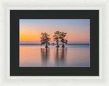 Load image into Gallery viewer, Tree Amigos - Framed Print