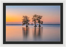 Load image into Gallery viewer, Tree Amigos - Framed Print