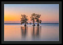 Load image into Gallery viewer, Tree Amigos - Framed Print