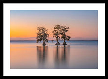 Load image into Gallery viewer, Tree Amigos - Framed Print