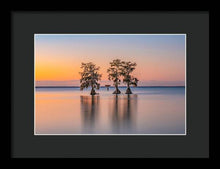 Load image into Gallery viewer, Tree Amigos - Framed Print