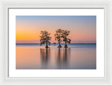 Load image into Gallery viewer, Tree Amigos - Framed Print
