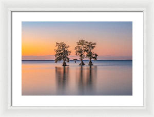 Tree Amigos - Framed Print