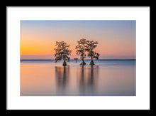 Load image into Gallery viewer, Tree Amigos - Framed Print