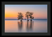 Load image into Gallery viewer, Tree Amigos - Framed Print