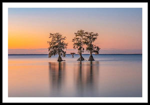 Tree Amigos - Framed Print
