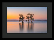 Load image into Gallery viewer, Tree Amigos - Framed Print