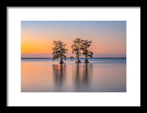 Tree Amigos - Framed Print