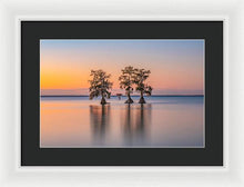 Load image into Gallery viewer, Tree Amigos - Framed Print