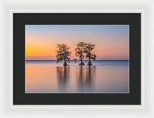 Tree Amigos - Framed Print