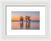 Load image into Gallery viewer, Tree Amigos - Framed Print