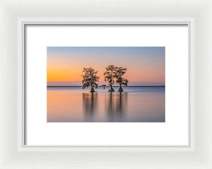 Tree Amigos - Framed Print