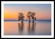 Load image into Gallery viewer, Tree Amigos - Framed Print