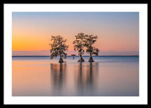 Load image into Gallery viewer, Tree Amigos - Framed Print