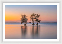 Load image into Gallery viewer, Tree Amigos - Framed Print