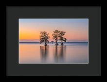 Load image into Gallery viewer, Tree Amigos - Framed Print