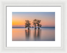 Load image into Gallery viewer, Tree Amigos - Framed Print