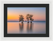 Load image into Gallery viewer, Tree Amigos - Framed Print