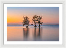 Load image into Gallery viewer, Tree Amigos - Framed Print