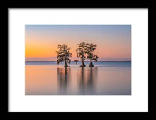 Load image into Gallery viewer, Tree Amigos - Framed Print