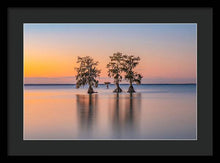 Load image into Gallery viewer, Tree Amigos - Framed Print