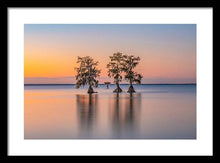 Load image into Gallery viewer, Tree Amigos - Framed Print