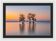 Load image into Gallery viewer, Tree Amigos - Framed Print