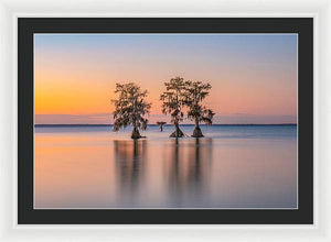 Tree Amigos - Framed Print