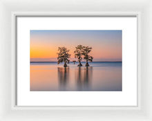 Load image into Gallery viewer, Tree Amigos - Framed Print