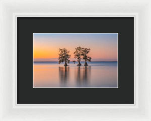 Tree Amigos - Framed Print