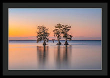 Load image into Gallery viewer, Tree Amigos - Framed Print