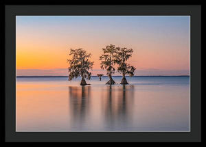 Tree Amigos - Framed Print