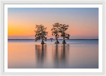 Load image into Gallery viewer, Tree Amigos - Framed Print